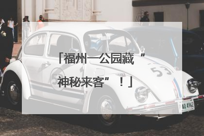 福州一公园藏“神秘来客”！