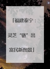 福建泰宁：灵芝“链”出富民新图景