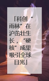 科创“雨林”在沪茁壮生长，“硬核”成果吸引全球目光
