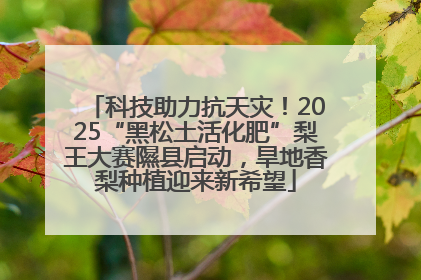 科技助力抗天灾！2025“黑松土活化肥”梨王大赛隰县启动，旱地香梨种植迎来新希望
