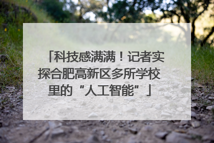 科技感满满！记者实探合肥高新区多所学校里的“人工智能”