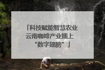 科技赋能智慧农业 云南咖啡产业插上“数字翅膀”