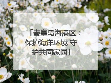 秦皇岛海港区：保护海洋环境 守护共同家园