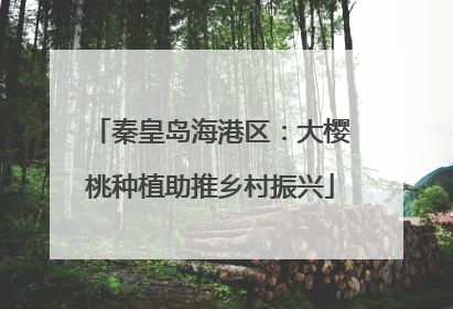 秦皇岛海港区：大樱桃种植助推乡村振兴