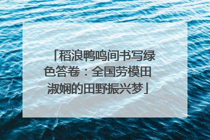 稻浪鸭鸣间书写绿色答卷：全国劳模田淑娴的田野振兴梦