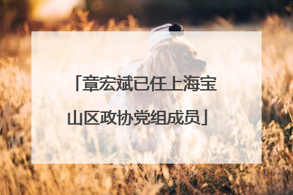 章宏斌已任上海宝山区政协党组成员