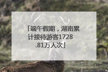端午假期，湖南累计接待游客1728.81万人次