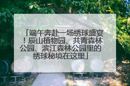 端午奔赴一场绣球盛宴！辰山植物园、共青森林公园、滨江森林公园里的绣球秘境在这里