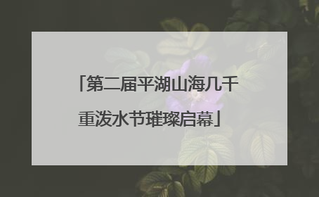 第二届平湖山海几千重泼水节璀璨启幕