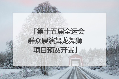 第十五届全运会群众展演舞龙舞狮项目预赛开赛