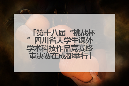 第十八届“挑战杯”四川省大学生课外学术科技作品竞赛终审决赛在成都举行