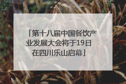 第十八届中国餐饮产业发展大会将于19日在四川乐山启幕