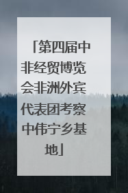 第四届中非经贸博览会非洲外宾代表团考察中伟宁乡基地