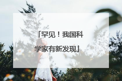 罕见！我国科学家有新发现