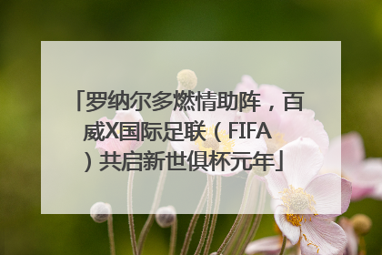 罗纳尔多燃情助阵，百威X国际足联（FIFA）共启新世俱杯元年