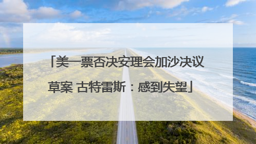 美一票否决安理会加沙决议草案 古特雷斯：感到失望