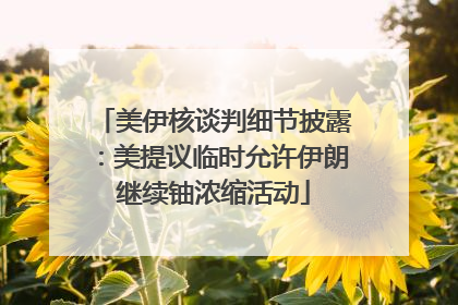 美伊核谈判细节披露：美提议临时允许伊朗继续铀浓缩活动