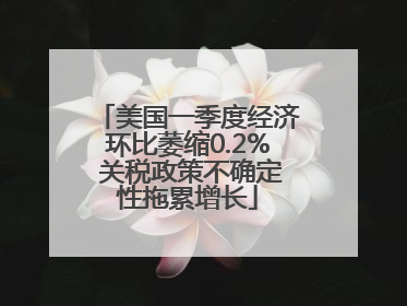 美国一季度经济环比萎缩0.2% 关税政策不确定性拖累增长
