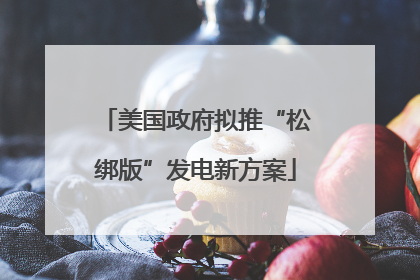 美国政府拟推“松绑版”发电新方案
