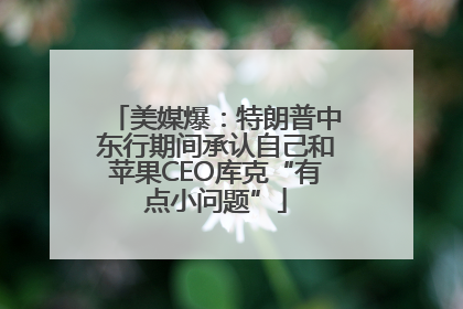 美媒爆：特朗普中东行期间承认自己和苹果CEO库克“有点小问题”