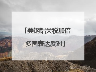 美钢铝关税加倍 多国表达反对