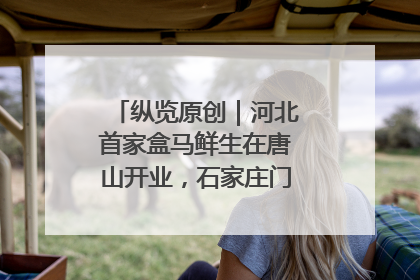 纵览原创｜河北首家盒马鲜生在唐山开业，石家庄门店预计8月开业