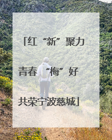 红“新”聚力青春 “梅”好共荣宁波慈城