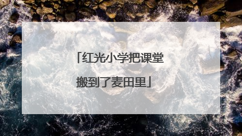红光小学把课堂搬到了麦田里