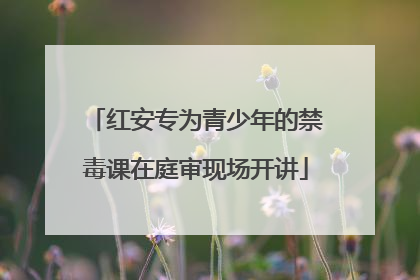红安专为青少年的禁毒课在庭审现场开讲