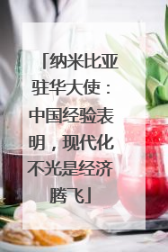 纳米比亚驻华大使：中国经验表明，现代化不光是经济腾飞