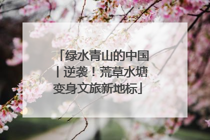 绿水青山的中国丨逆袭！荒草水塘变身文旅新地标