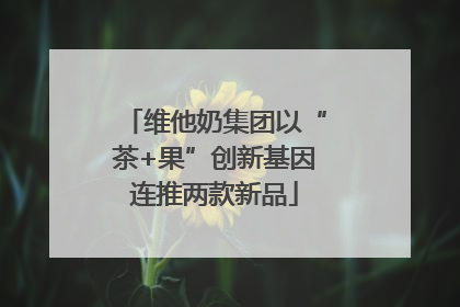 维他奶集团以“茶+果”创新基因连推两款新品