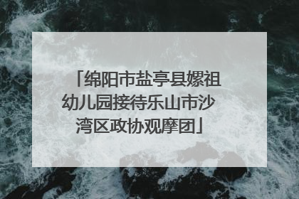 绵阳市盐亭县嫘祖幼儿园接待乐山市沙湾区政协观摩团
