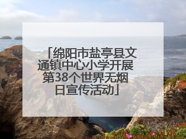 绵阳市盐亭县文通镇中心小学开展第38个世界无烟日宣传活动
