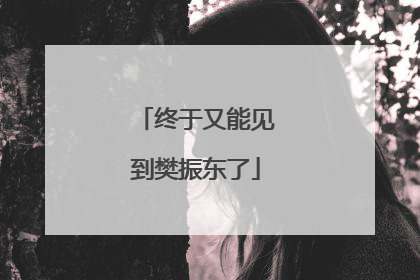 终于又能见到樊振东了