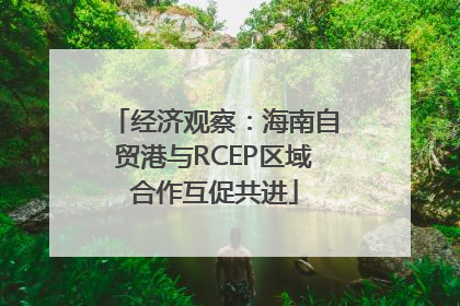 经济观察：海南自贸港与RCEP区域合作互促共进