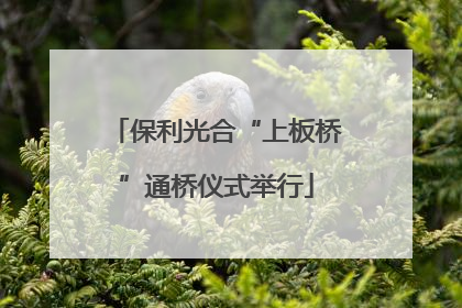 保利光合“上板桥”通桥仪式举行