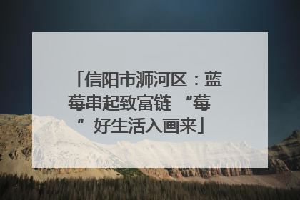 信阳市浉河区：蓝莓串起致富链 “莓”好生活入画来