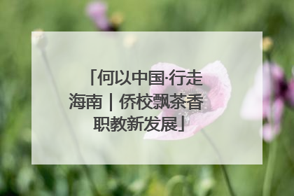 何以中国·行走海南｜侨校飘茶香 职教新发展
