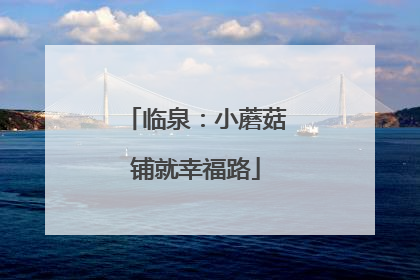 临泉：小蘑菇铺就幸福路