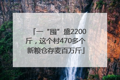 一“囤”盛2200斤，这个村470多个新粮仓存麦百万斤