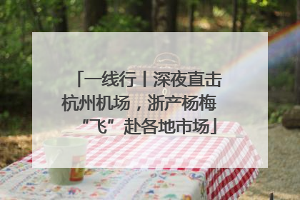 一线行丨深夜直击杭州机场，浙产杨梅“飞”赴各地市场