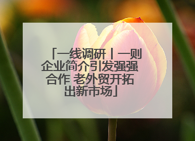一线调研丨一则企业简介引发强强合作 老外贸开拓出新市场