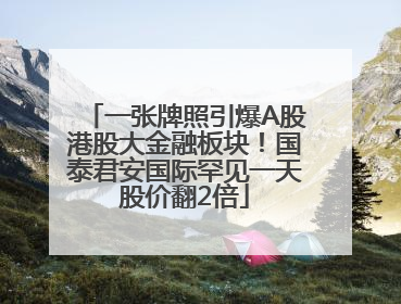 一张牌照引爆A股港股大金融板块！国泰君安国际罕见一天股价翻2倍