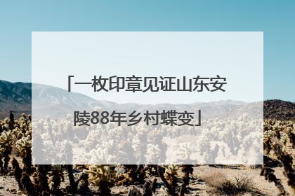 一枚印章见证山东安陵88年乡村蝶变