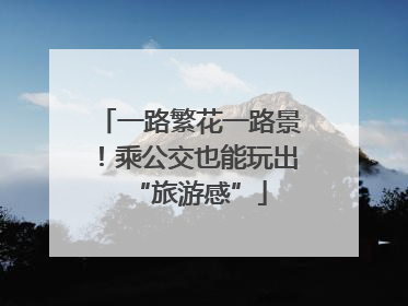 一路繁花一路景！乘公交也能玩出“旅游感”