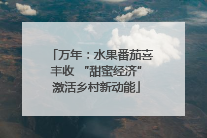 万年：水果番茄喜丰收 “甜蜜经济”激活乡村新动能