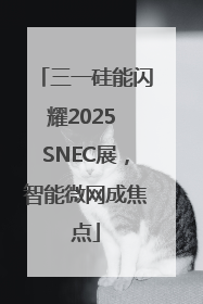 三一硅能闪耀2025 SNEC展，智能微网成焦点