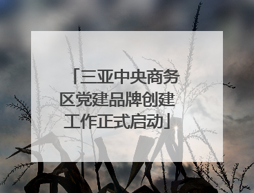 三亚中央商务区党建品牌创建工作正式启动