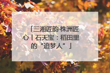 三湘匠韵·株洲匠心丨石天宝：稻田里的“追梦人”